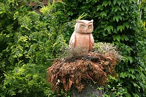 Hibou de boite aux lettres - &copy; Norbert Pousseur