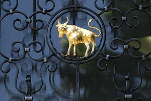 Boeuf en d&eacute;cor de restaurant - &copy; Norbert Pousseur