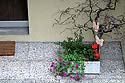 nature morte accueillante