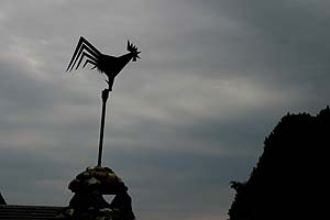 coq girouette - &copy; Norbert Pousseur