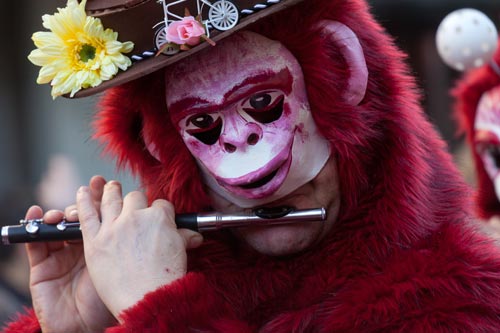 Masque de singe rouge - © Norbert Pousseur