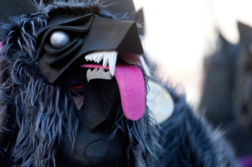 Sous masque noir de loup - © Norbert Pousseur