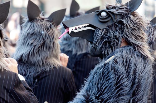 Masque de loup noir en profil - © Norbert Pousseur