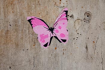 Papillon rose - Graph’mur photographié par Norbert Pousseur ©