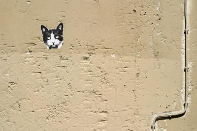 Tête de chat en coin de rue - Graph’mur photographié par Norbert Pousseur ©