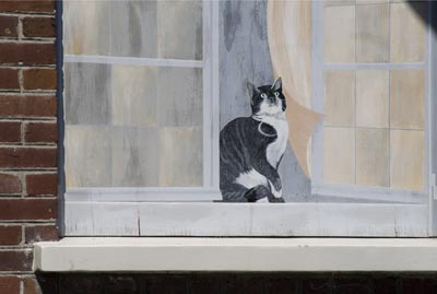 Chat à la fenêtre - Graph’mur photographié par Norbert Pousseur ©