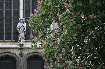 Façade de l'église - Ieper - Ypres - © Norbert Pousseur