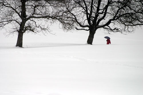 Femme au parapluie en promenade dans la neige - © Norbert Pousseur
