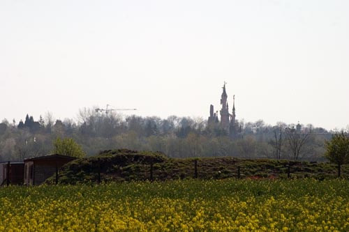 Château de Disney dans les champs - © Norbert Pousseur