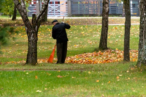 Conjoint de la ramasseuse de feuilles mortes - © Norbert Pousseur
