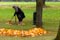 Woman collecting dead leaves - © Norbert Pousseur
