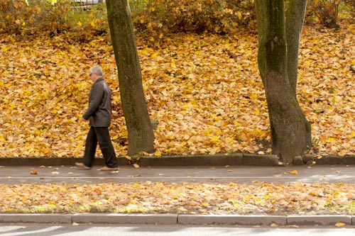 Dead leaves in Riga - © Norbert Pousseur