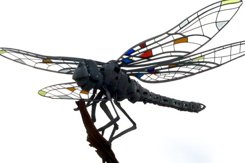 Escultura metálica de libélula - © Norbert Pousseur
