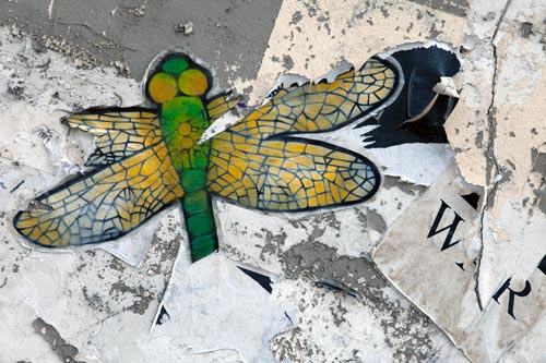 Paper dragonfly stuck - © Norbert Pousseur