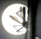 Mosquito in shadowgraphs - © Norbert Pousseur