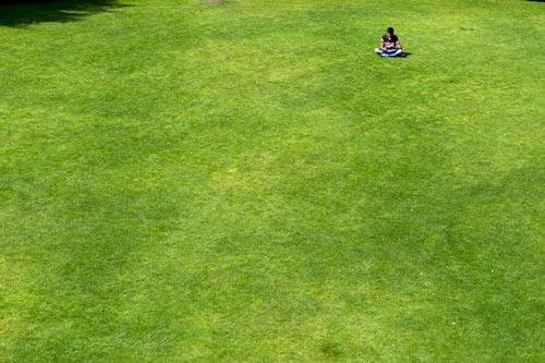 Reading on lawn - © Norbert Pousseur