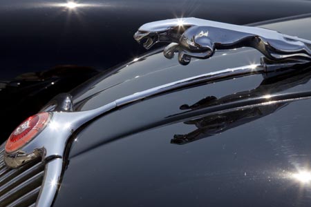 Mascotte de Jaguar - voiture ancienne - © Norbert Pousseur