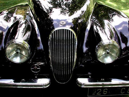 Avant de Jaguar - voiture ancienne - © Norbert Pousseur