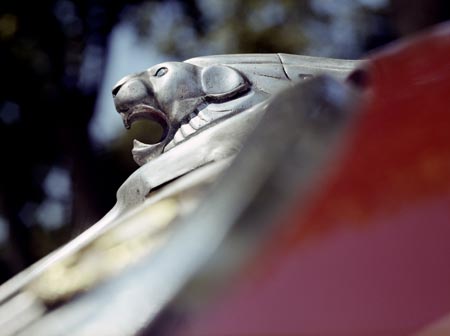 Jaguar sur capot - voiture ancienne - © Norbert Pousseur