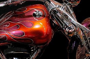 Harley-Davidson Softail Springer 'Cam&eacute;l&eacute;on'