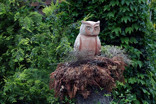 Hibou de boite aux lettres - © Norbert Pousseur