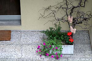 Nature morte d'accueil de porte d'entrée - © Norbert Pousseur