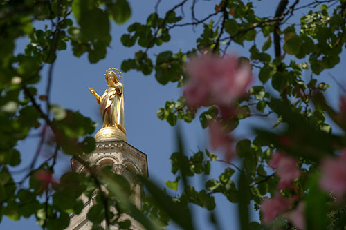 Avignon : Notre Dame des Doms  © Norbert Pousseur