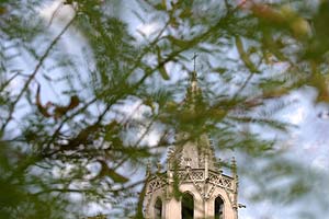 Clocher dans arbre