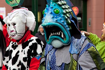 Poisson et chat - © Norbert Pousseur