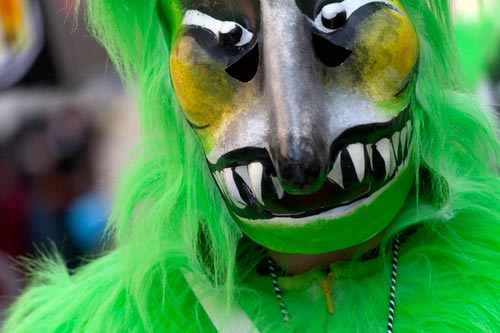 Masque de singe vert - © Norbert Pousseur