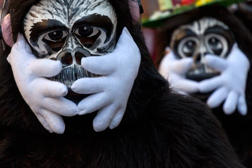 Masque de singe noir, mains sur la bouche - © Norbert Pousseur