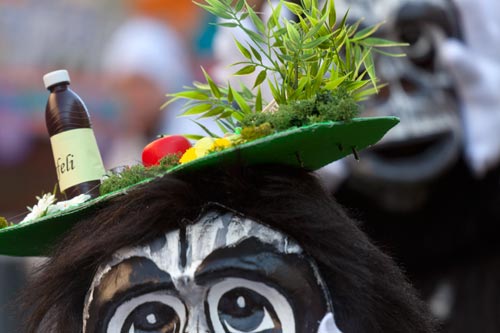 Chapeau plateau de singe noir - © Norbert Pousseur