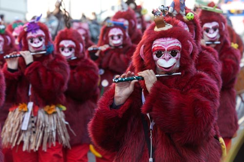 Le groupe de singe rouge - © Norbert Pousseur