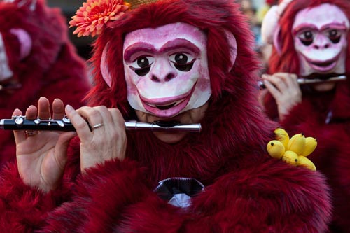 Costume rouge de singe - © Norbert Pousseur