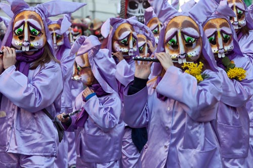 Groupe de lapin violets - © Norbert Pousseur - © Norbert Pousseur