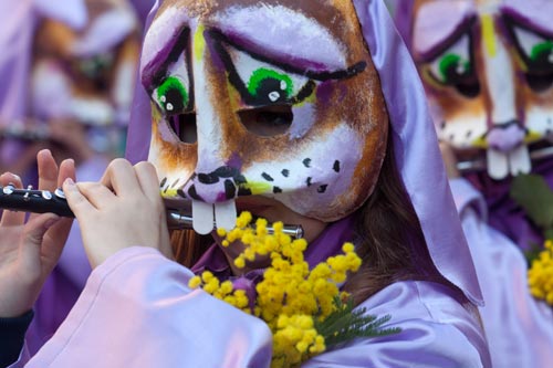 Lapin au mimosa - © Norbert Pousseur