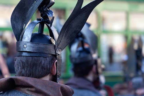 Ailes de casque de fer © Norbert Pousseur