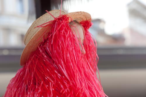 Chevelure rouge de carnaval © Norbert Pousseur