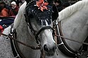 chevaux ornementés au carnaval de Bâle 2006 - Basel - © Norbert Pousseur