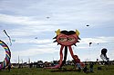 Chat gonflé - Festival de Fréjus - © Norbert Pousseur