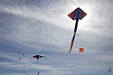 Cerf-volant en grande raie - Festival de Fréjus - © Norbert Pousseur