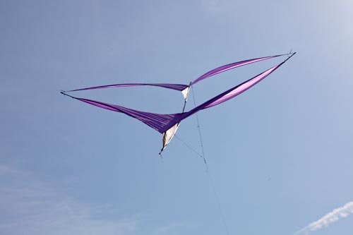 Cerf-volant à ailes doubles - Festival 2011 de Fréjus - © Norbert Pousseur