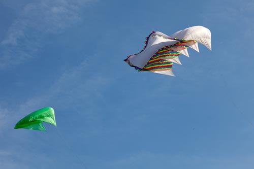 Cerfs-volants de voiles - Festival 2011 de Fréjus - © Norbert Pousseur