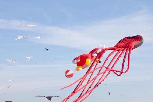 Pieuvre baudruche rouge - Festival 2011 de Fréjus - © Norbert Pousseur