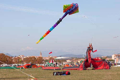 Dragon au repos - Festival 2011 de Fréjus - © Norbert Pousseur