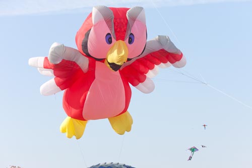 Oiseau baudruche dans le ciel� - Festival 2011 de Fréjus - © Norbert Pousseur