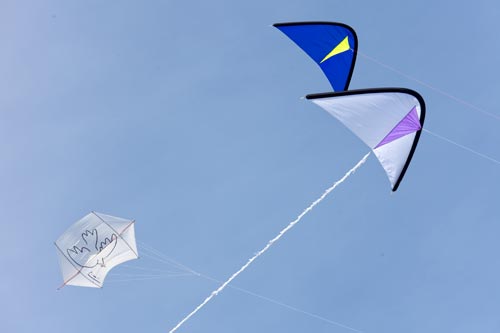Hirondelle et 2 ailes volantes - Festival 2011 de Fréjus - © Norbert Pousseur
