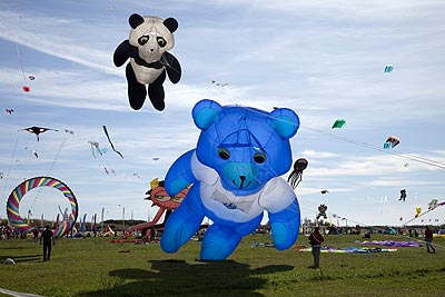 Ours bleu et Panda - Festival de Fréjus - © Norbert Pousseur