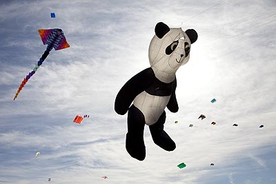 Panda en équilibre - Festival de Fréjus - © Norbert Pousseur