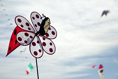 Coccinelle volante - Festival de Fréjus - © Norbert Pousseur